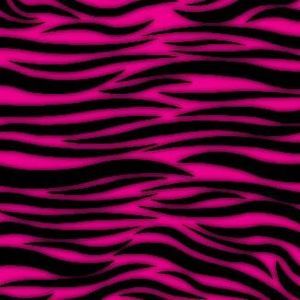 Meet your Posher, Idalia